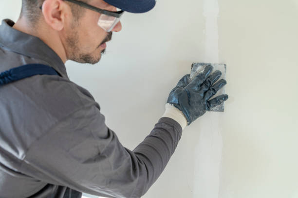 Professional Drywall & Painting Services in Timberlane, IL